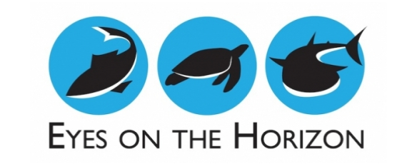 Eyes on the horizon logo